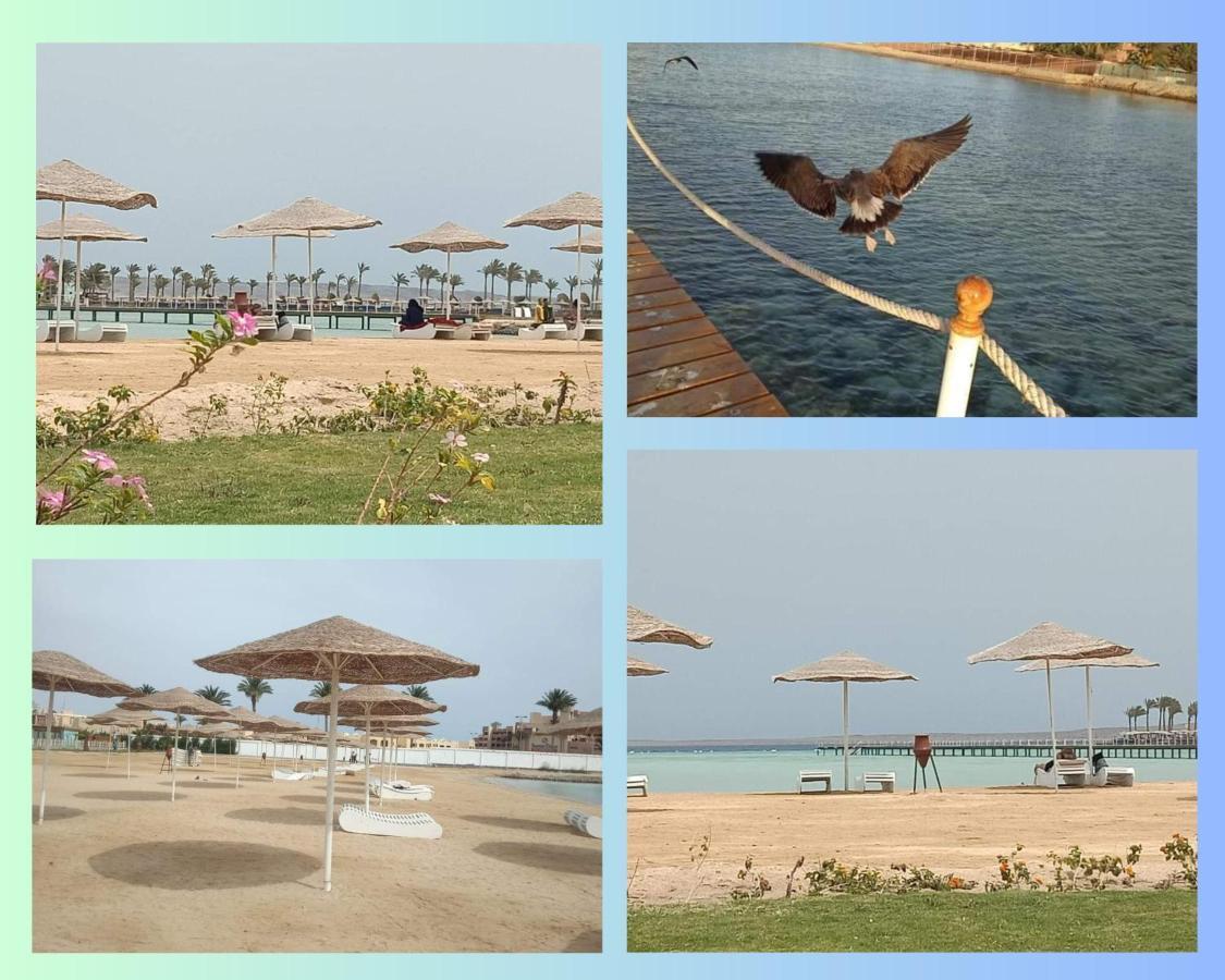 Scandic Resort In Hurghada, Egypt מראה חיצוני תמונה